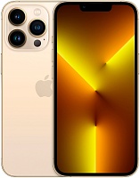 Ремонт iPhone 13 Pro Max (iPhone 13 Pro Max)