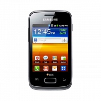 Ремонт Samsung Galaxy Y Duos (GT-S6102)