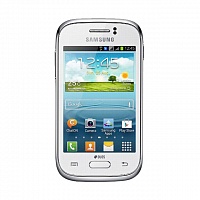 Ремонт Samsung Galaxy Young Duos (GT-S6312)